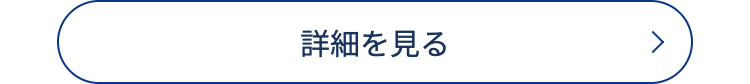 詳細を見る