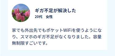 ギガ不足が解決した　20代　女性